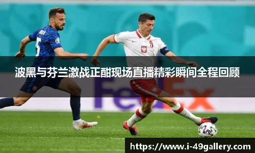 波黑与芬兰激战正酣现场直播精彩瞬间全程回顾